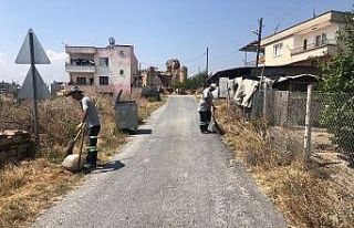 Akdeniz’de günde 400 ton çöp toplanıyor