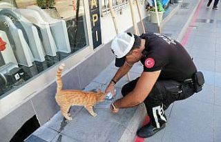 Aksaray’da polisin hayvan sevgisi yürekleri ısıttı