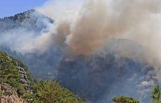 Akseki’deki orman yangınıyla ilgili bir şüpheli...