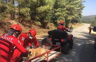 AKUT, Muğla’dan sonra Aydın Çine’de orman yangınlarına...