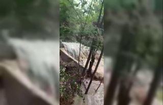 Alabalık tesisini harabe eden sel saniye saniye kaydedildi