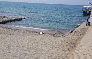 Alanya’da caretta carettalar denizle buluştu