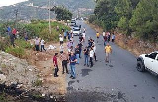 Alanya’da orman yangını vatandaşın dikkatiyle...