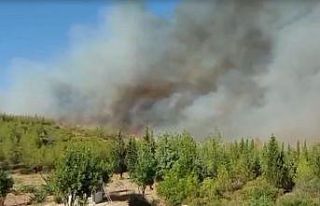 Alevler, Bodrum’un son kalesi Kisebükü’ye ulaştı