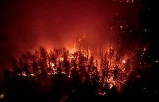 Alevler geceyi gündüze çevirdi