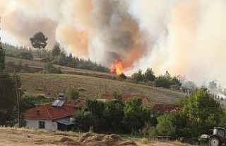 Alevler köyün etrafını sardı