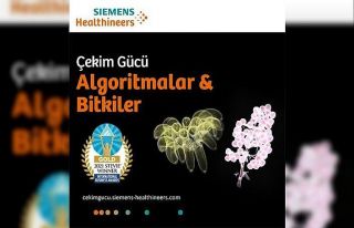 Algoritmalar ve Bitkiler Sergisi, Stevie Uluslararası...