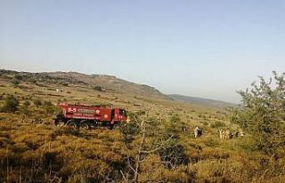 Aliağa’da makilik alanda çıkan yangını söndürme...