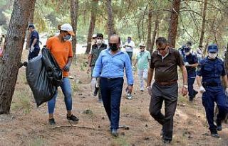 Aliağa’da orman temizliği devam ediyor