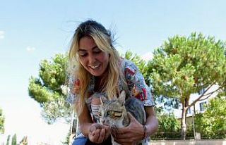 Aliağa’da sevimli dostlar için yoğun mesai