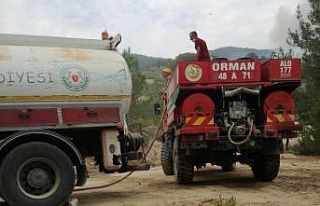 Altınova ekibi yangın bölgesinde