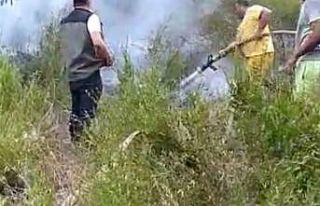 Andırın’da orman yangını