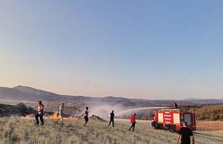 Anız yangını ormana sıçramadan söndürüldü