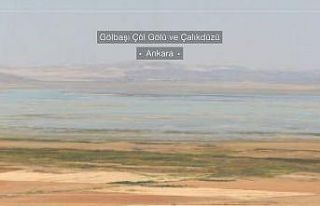 Ankara ve Bolu’da doğal güzellikler koruma altına...