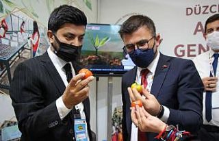 Ankara’ya ata tohumu damga vurdu