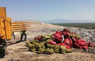 Antalya’da 4 ton kaçak midye ele geçirildi
