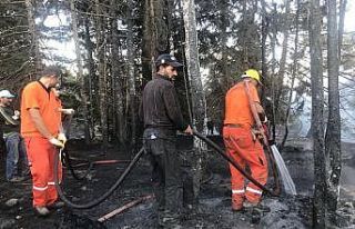 Antalya’da orman yangını kontrol altına alındı