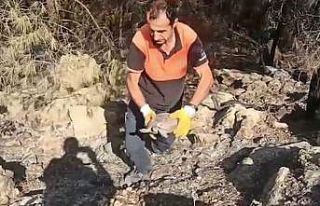 Antalya’da yangın söndürme çalışmasına destek...