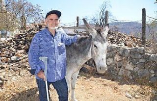 Antalya’daki orman yangınından 82 yaşındaki...
