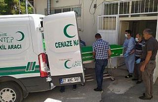 Aracını park eden tır şoförüne otomobil çarptı:...