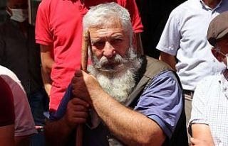 Arıcılar kara kara düşünüyor, tek istekleri...