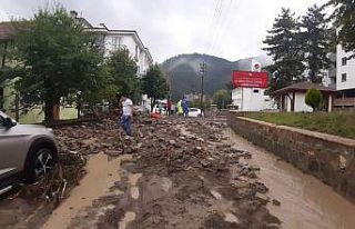 Aşırı yağışlarda çay taştı, birçok araç...