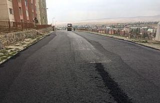 Atatürk Mahallesi sıcak asfalt yola kavuştu