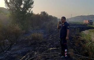 Ateş savaşçılarının hızlı müdahalesi zeytin...
