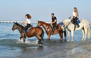 Atların deniz keyfi