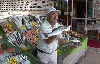 Avlanma yasağının kalkmasına günler kala kıyılar...