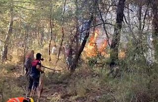 Aydın itfaiyesinin, Marmaris’te ateşle mücadelesi...