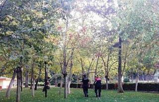 Aydın polisi teyakkuza geçti