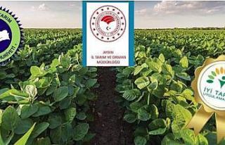 Aydınlı üreticilere müjde, destek ödemeleri başladı