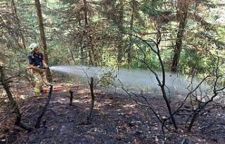 Aydos Ormanı’nda küçük çaplı yangın çıktı