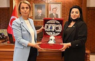 Azeri vekilden Vali Becel’e ziyaret