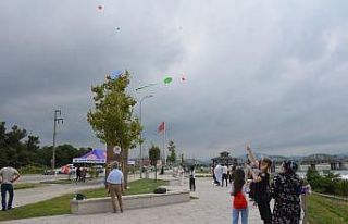 Bafra semaları şenlendi