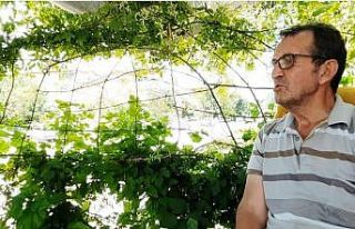 Bahçesinin çitini canlı bitkileri örerek elde...