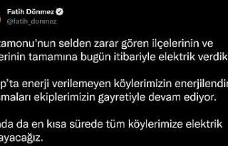 Bakan Dönmez, Kastamonu’da selden etkilenen ilçe...