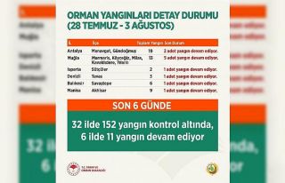 Bakan Pakdemirli: "152 orman yangını kontrol...