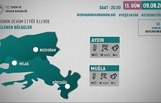 Bakan Pakdemirli: "270 orman yangınından 267’si...