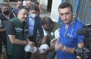 Bakan Pakdemirli, sahibinin selden kurtardığı buzağıyı...