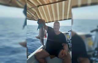 Balıkçı ağına takılan yavru köpek balığı...