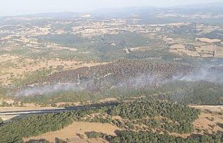 Balıkesir’deki orman yangını kontrol altına...