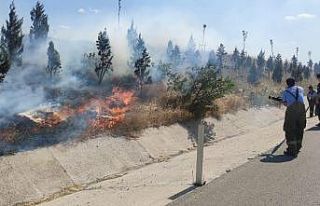 Bandırma’da yol kenarında yangın