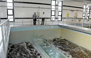 Başkan Altay: “Çeşmelerden akan suyu gönül...