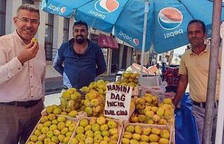 Başkan Güler; "Yeni incir sezonu üreticilerimize...