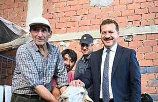 Başkan Yılmaz’dan koyunları yanan çiftçiye...