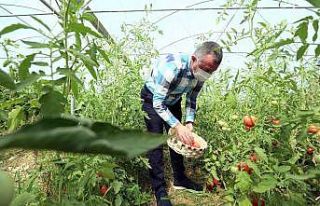 Bayraktar köyünde ilk hasadı Başkan Büyükakın...