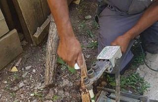 Belediye Başkanından kaçak su kullananlara tepki:...