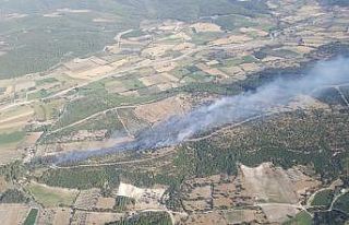 Bergama’da ağaçlandırma sahasında çıkan yangın...